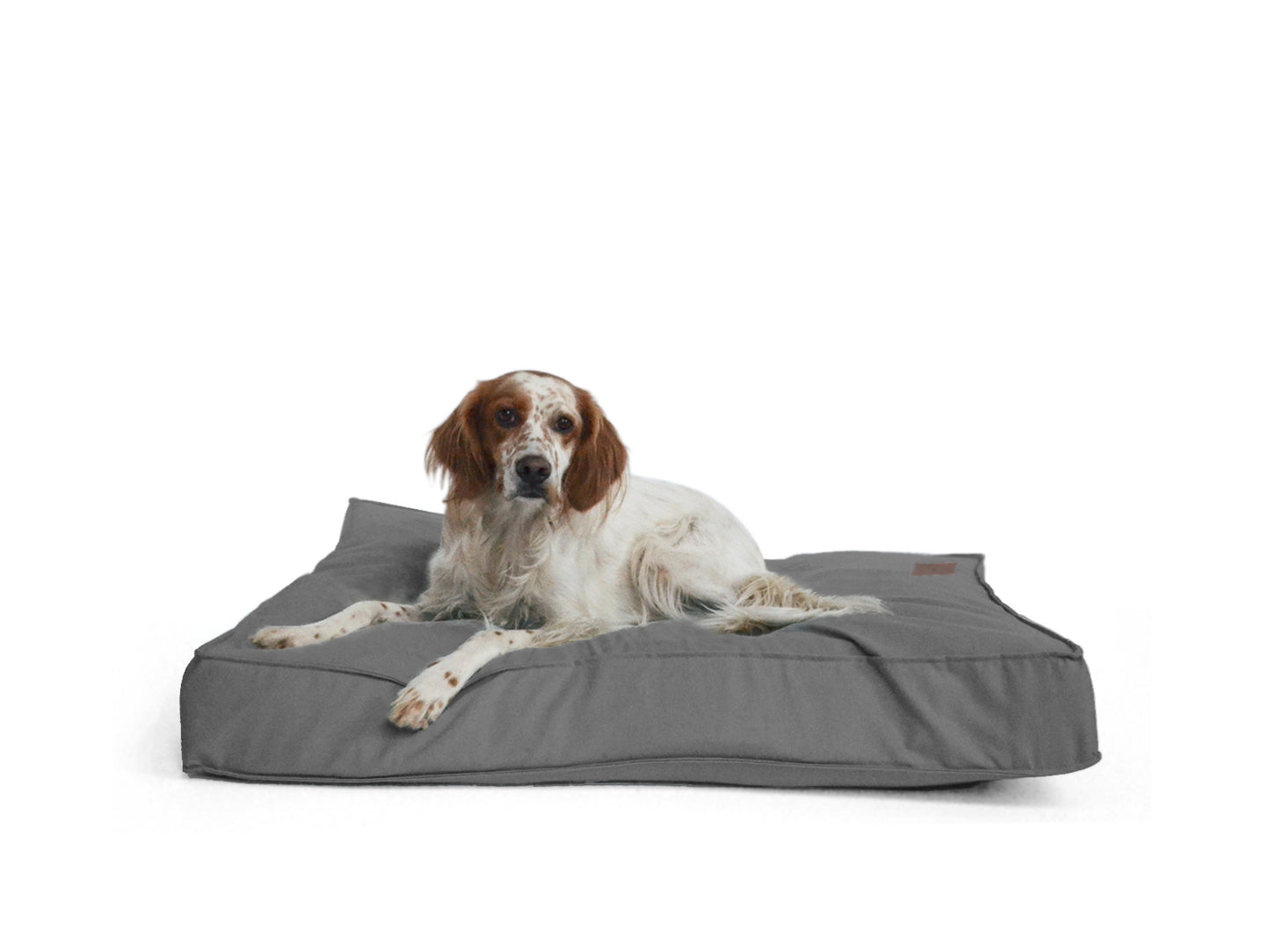 BODO Köpek Yatağı