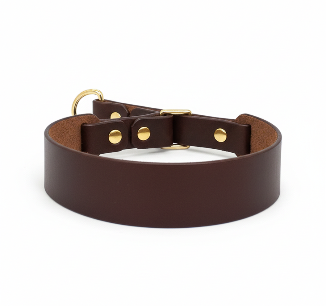 MAGNİ Boyun Tasması, Kahve