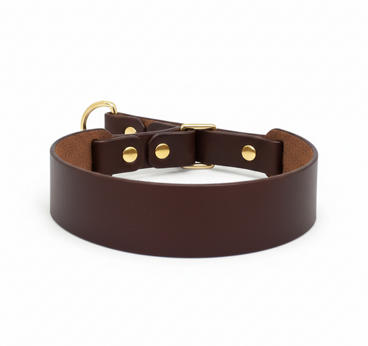 MAGNİ Boyun Tasması, Kahve