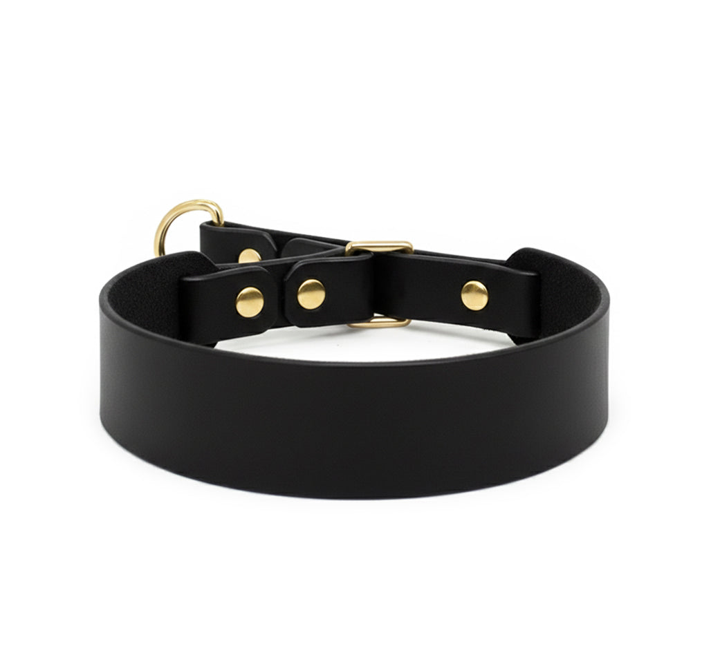 MAGNİ Boyun Tasması, Siyah