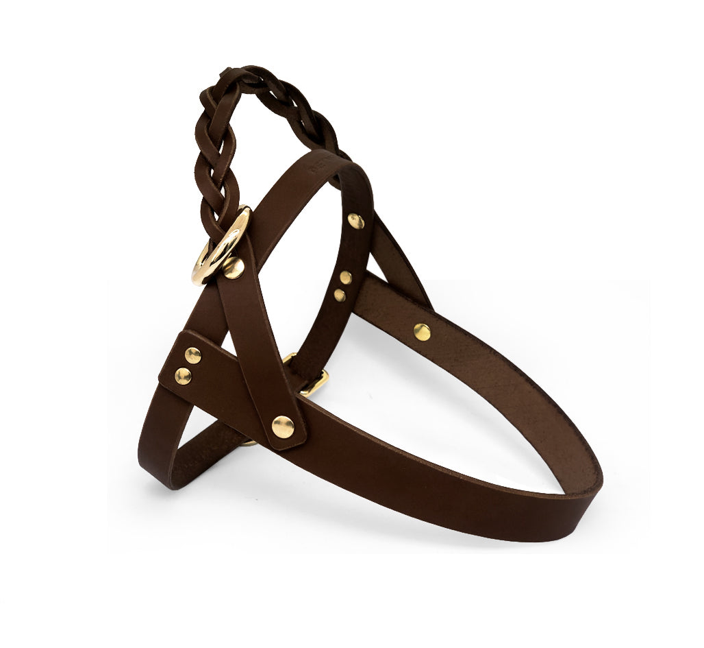 MODİ Göğüs Tasması, Kahve