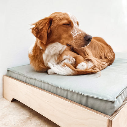 MOLLE Kedi & Köpek Yatağı